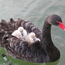 Схема вышивки «у мамы»