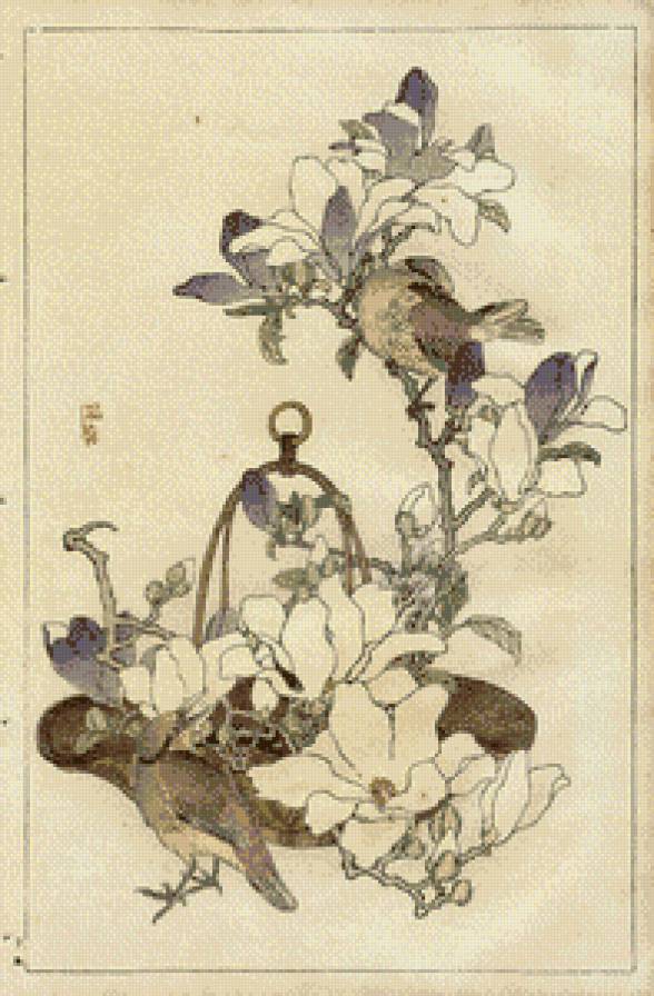 птицы - цвет, живопись, птицы - предпросмотр