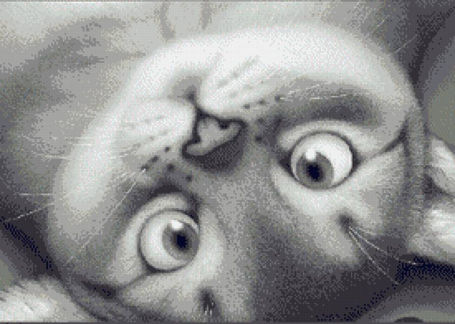 Озорной котенок - животные, монохром, кошки, котенок - предпросмотр