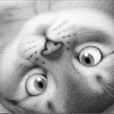 Схема вышивки «Озорной котенок»