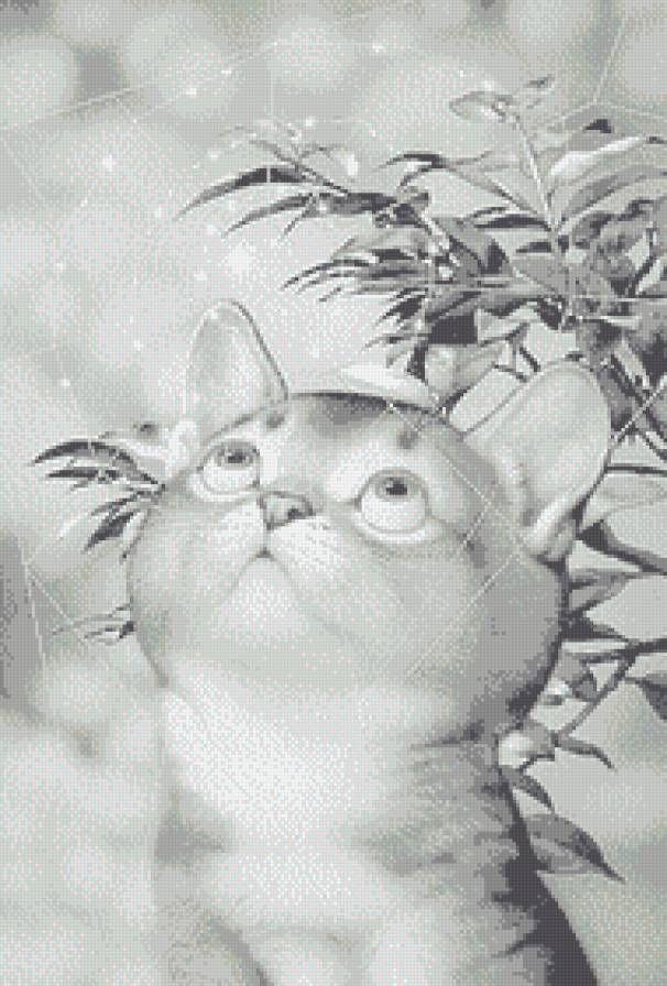 Котенок и паутинка - монохром, животные, детское, кошки, котенок - предпросмотр