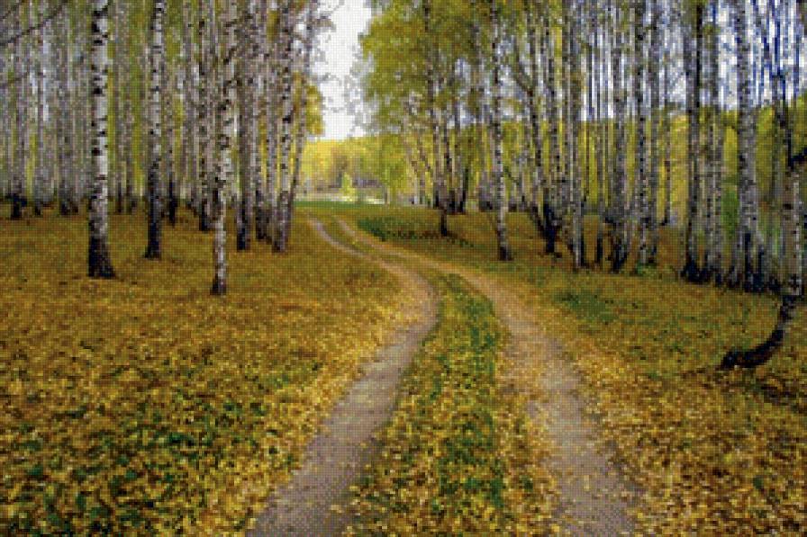 дорога в лес - природа - предпросмотр