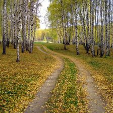 Схема вышивки «дорога в лес»