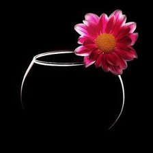 Схема вышивки «Хризантема»