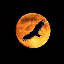 Схема вышивки «Лунный ворон»