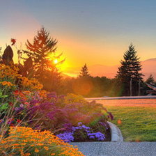 Схема вышивки «природа»