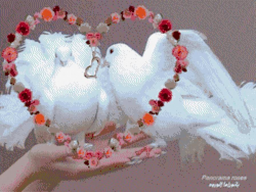 Голуби - сердце, голуби, птицы - предпросмотр