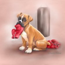 Схема вышивки «Боксер»