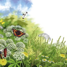 Схема вышивки «№514469»