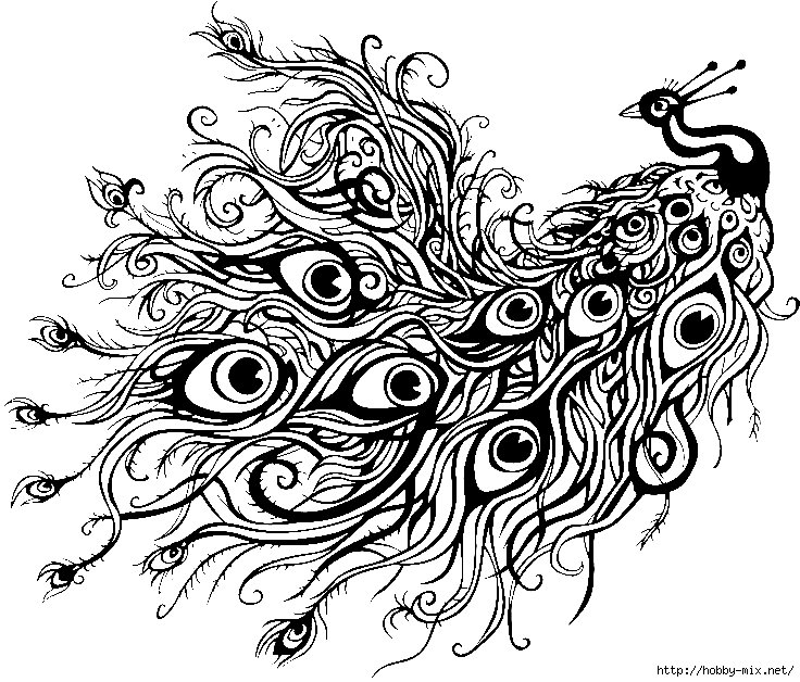 пав  волшеб черн - оригинал