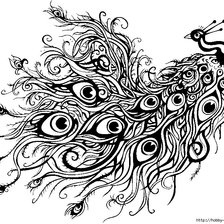 Схема вышивки «пав  волшеб черн»