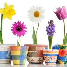 Схема вышивки «цветы в горшочках»