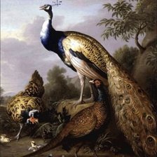 Схема вышивки «павлины»