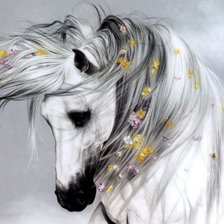 Схема вышивки «крас»