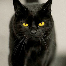 Схема вышивки «иду к тебе»