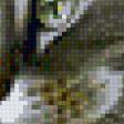 Предпросмотр схемы вышивки «№514826»