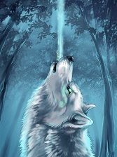 Схема вышивки «волк»