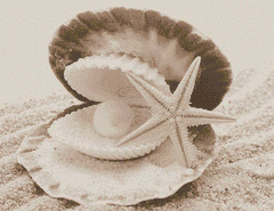 Воспоминания о лете - монохром, песок, сепия, звезда, жемчуг, ракушка - предпросмотр