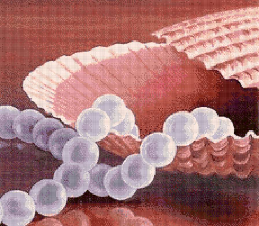 Жемчужины в ракушке (живопись Варвара Хармон) - живопись, ракушка, натюрморт, жемчуг - предпросмотр