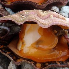 Схема вышивки «гребешок»