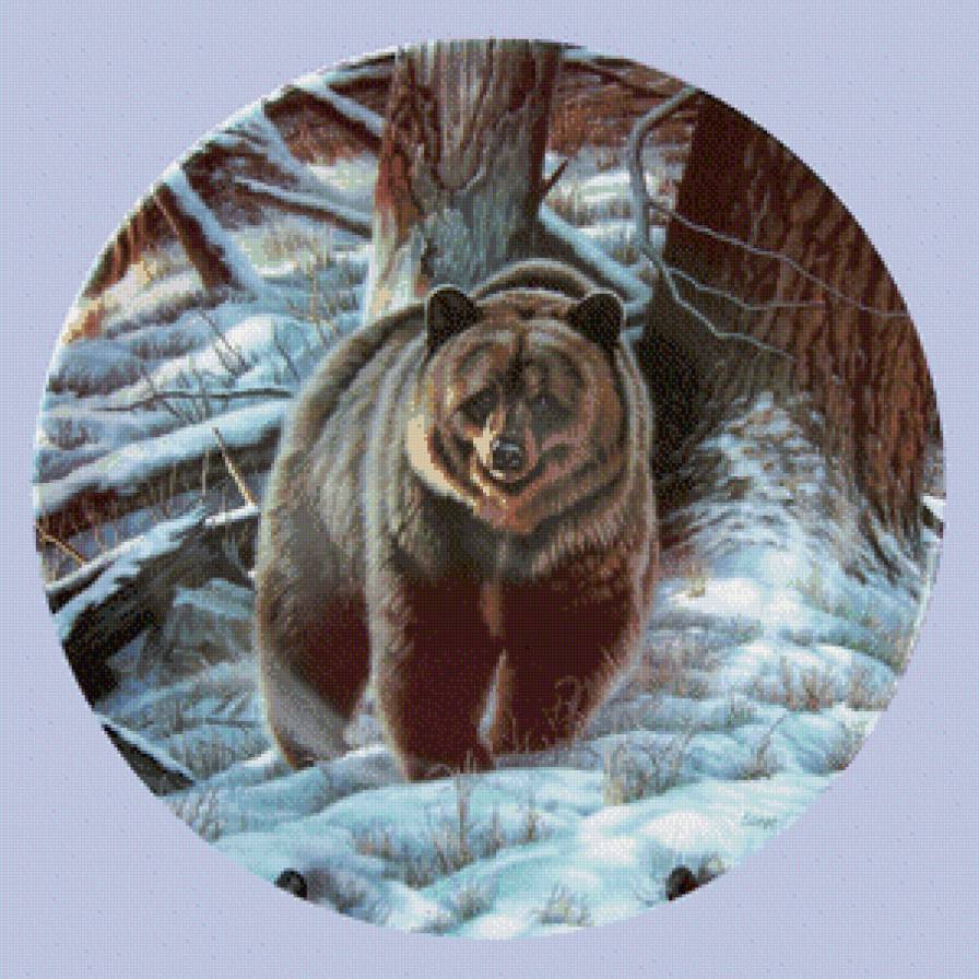 Бурый - животные, зима, медведи, пейзаж, снег - предпросмотр