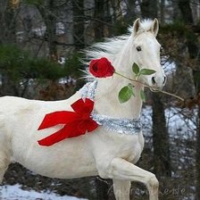 Схема вышивки «белая лошадь»