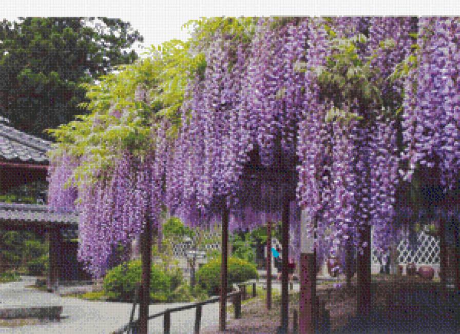 япония - природа - предпросмотр