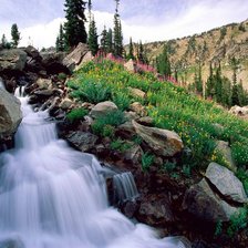 Схема вышивки «япония»