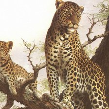 Схема вышивки «Любимая мама»