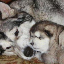 Схема вышивки «Любимая мама»