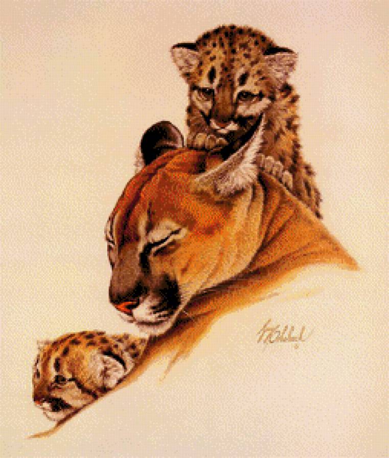 Любимая мама - пума, звери, животные, дикие кошки, кот, природа - предпросмотр