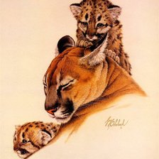 Схема вышивки «Любимая мама»