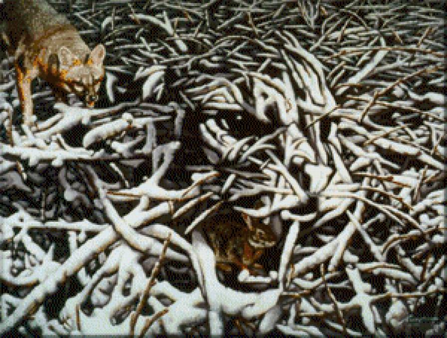 Иллюзия - иллюзия, лиса, тайна, секрет, абстракция, заяц, пума, загадка - предпросмотр