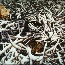 Схема вышивки «Иллюзия»