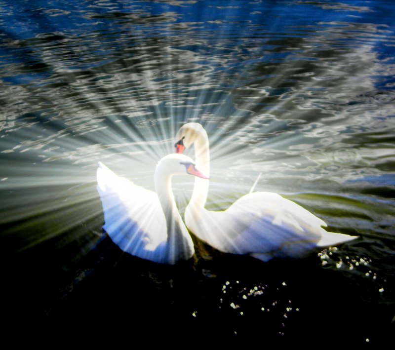 пара - пара, пейзаж, любовь - оригинал