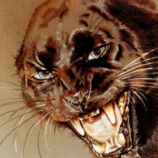 Схема вышивки «злая киса»