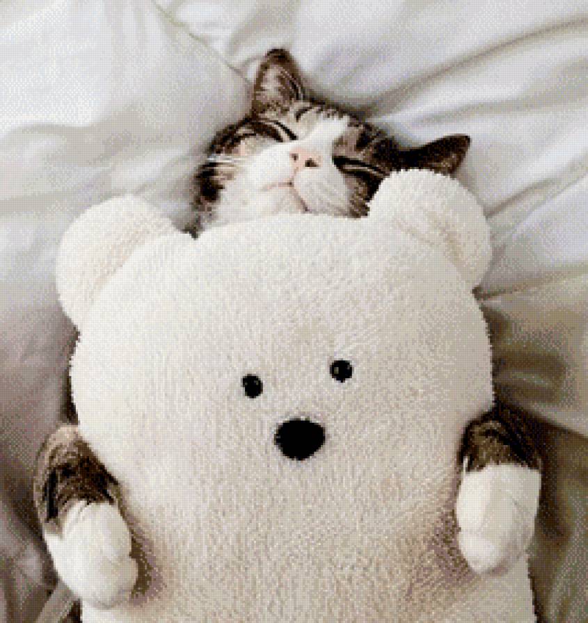 картина для спальни - игрушка, постель, кот, кошка, сон, подушка - предпросмотр