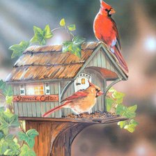 Схема вышивки «Серия "Птичий домик"»