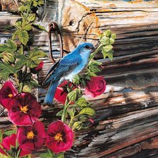 Схема вышивки «Серия "Птичий домик"»