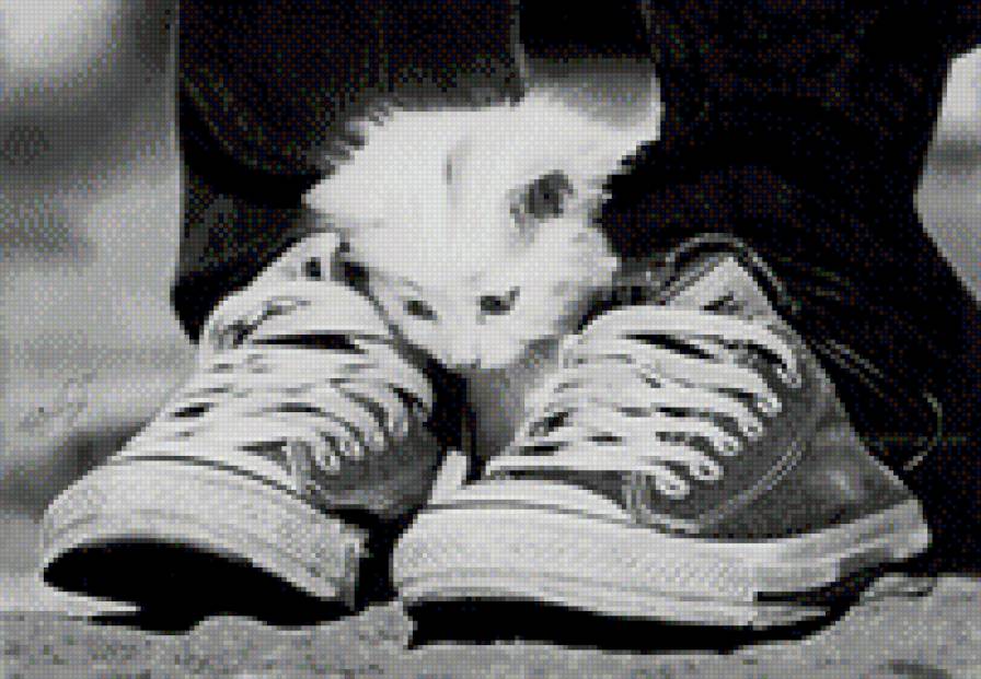 Киса - коты, животные - предпросмотр