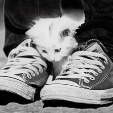 Схема вышивки «Киса»