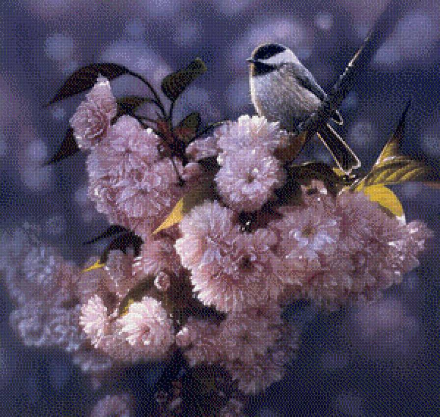 Птичка - птицы - предпросмотр