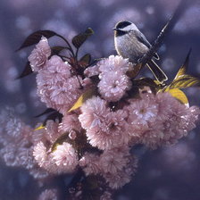 Схема вышивки «Птичка»