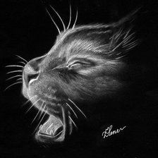 Схема вышивки «кошка»