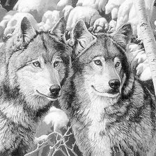 Схема вышивки «Пара хищников»