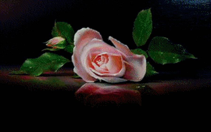 роза - бутон, живопись, цветы, отражение - предпросмотр