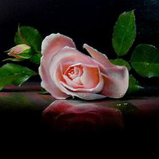 Схема вышивки «роза»