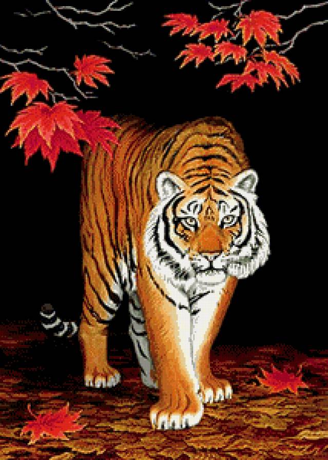 тигр - клен, листья, живопись, осень, хищник, взгляд - предпросмотр