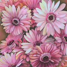 Схема вышивки «Герберы (Батик Н.Соколовой)»