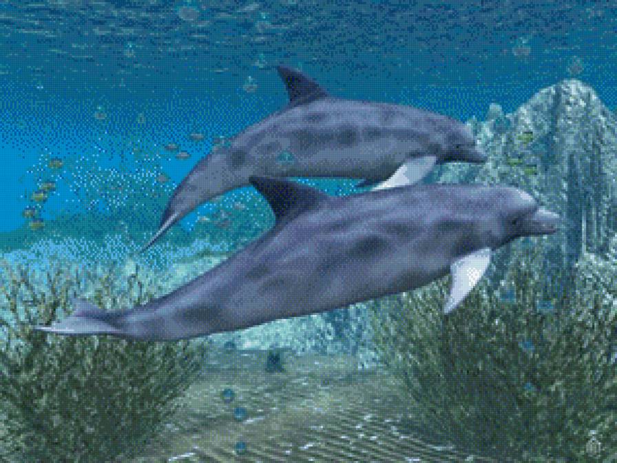 рыба 5 - сер.рыбы - предпросмотр